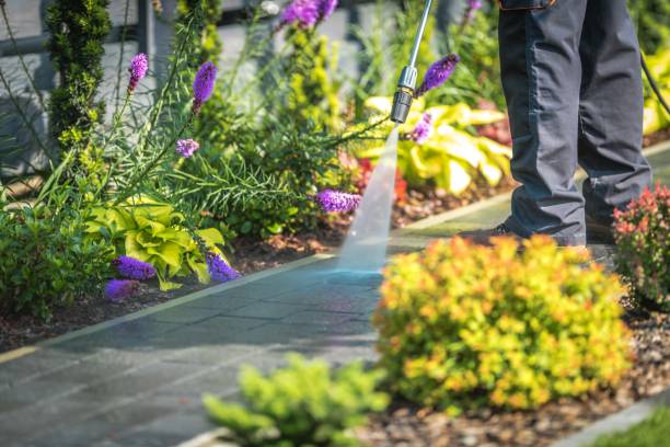 Trusted Holiday, FL Pressure Washing Services Experts