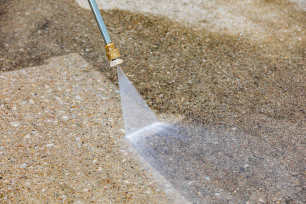 Best Boat and Dock Cleaning  in Holiday, FL