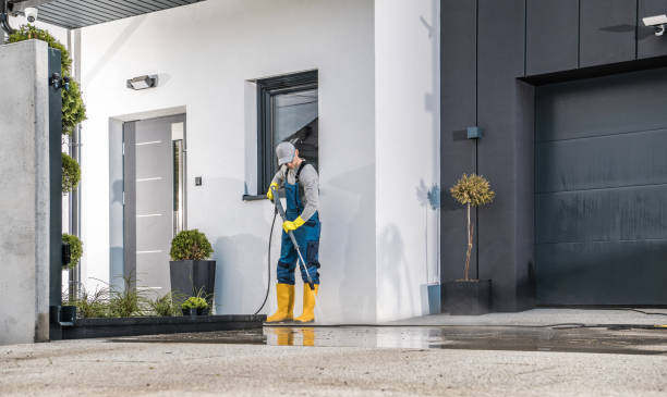 Best Fleet Vehicle Washing  in Holiday, FL